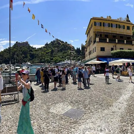 Joivy Dreamlike In Piazzetta
